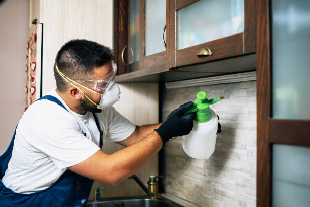 Professional Pest Control in Potosi, TX