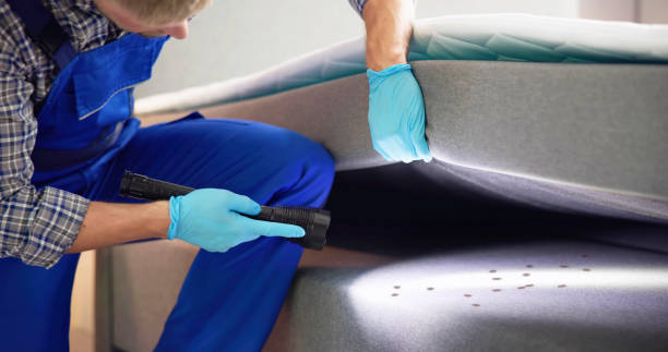 Best Pest Control Near Me in Potosi, TX