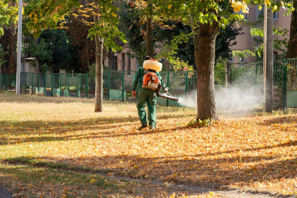 Best Flea Control Services  in Potosi, TX