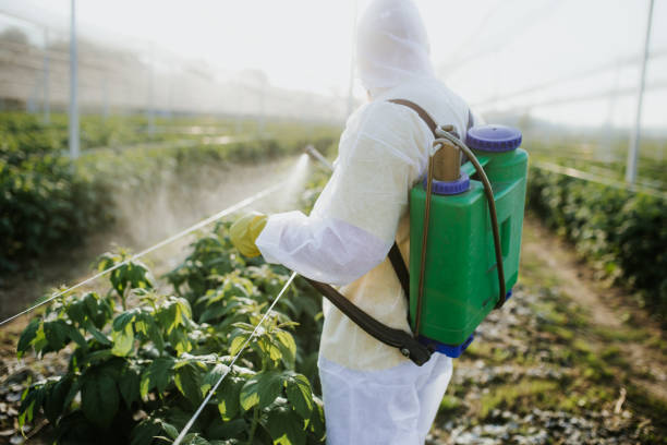 Best Termite Control Services  in Potosi, TX